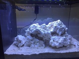 FTS2.JPG