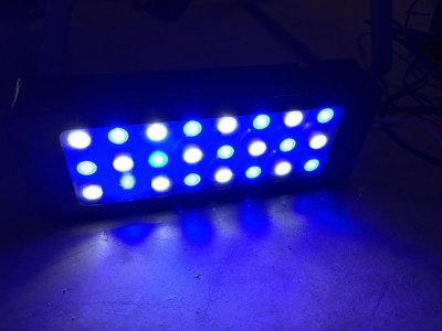 creed LED Light.jpg