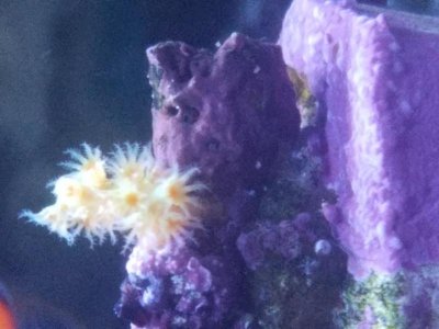 20170207_122357.jpg