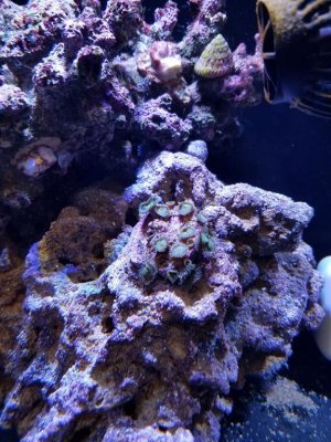 20170104_143236.jpg