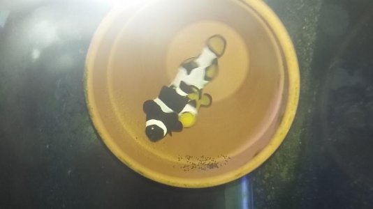 20170206_175910.jpg