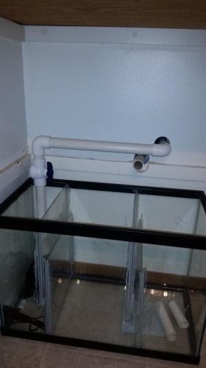 20170207_224523.jpg