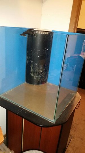 20170207_225632.jpg