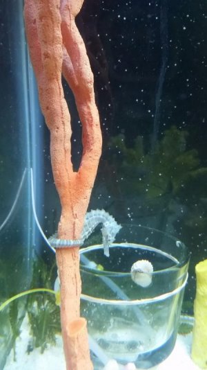 20170207_194115.jpg