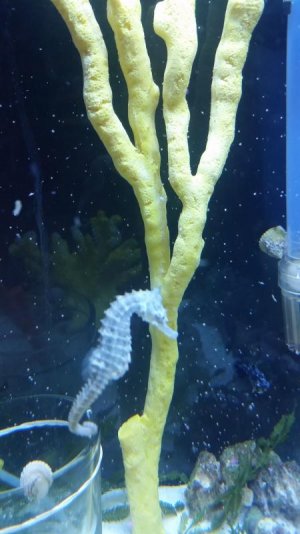20170207_192953.jpg