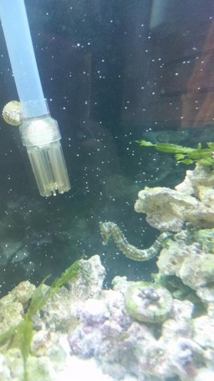 20170207_140620.jpg