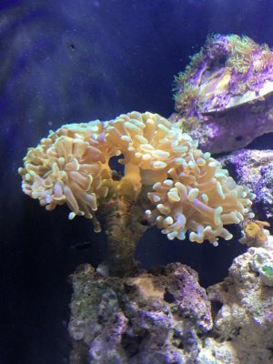 IMG_1873.jpg