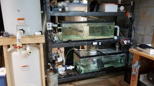 20170127_105537.jpg