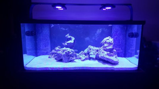 20170131_184338.jpg