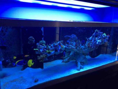 IMG_1346.jpg IMG_1346.jpg