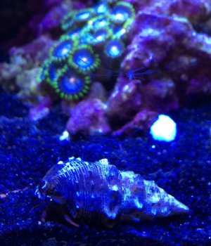 IMG_3941.jpg