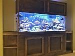 user27774_pic76888_1483811166_thumb.jpg