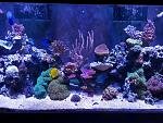 user27774_pic76887_1483810384_thumb.jpg