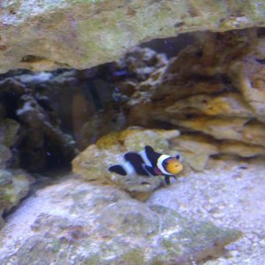 rsz_img_20170213_205850_001.jpg