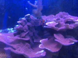 IMG_7433(1).JPG