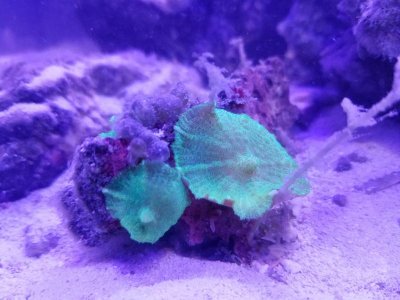 20170212_231026.jpg