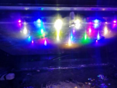 lights.jpg