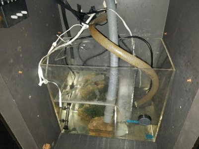sump.jpg