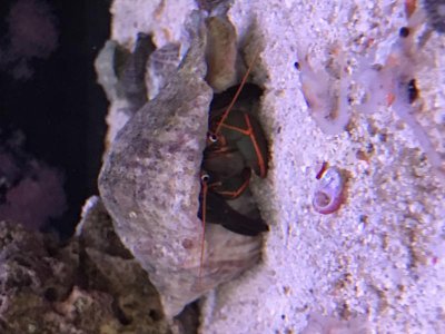 IMG_5544.jpg