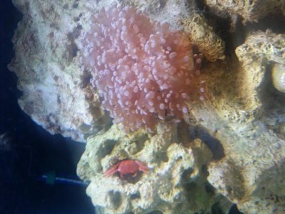 20170215_234559.jpg