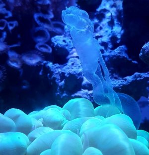 20170216_121513.jpg
