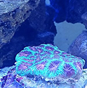 2016-08-16_21.06.51.jpg