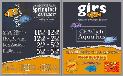 Spring Fest 2017 Print Front - Back.jpg