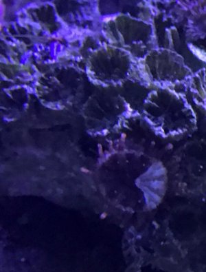 IMG_6201.jpg