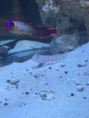 IMG_8708.jpg