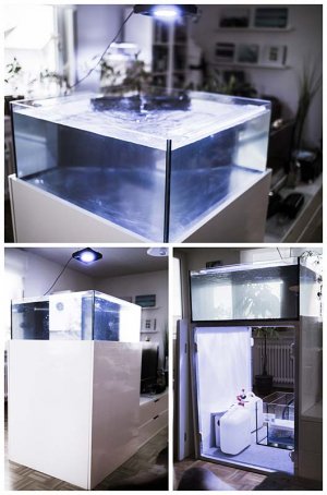 collage_new_aquarium_WEB.jpg
