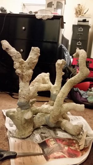 20170217_203605.jpg