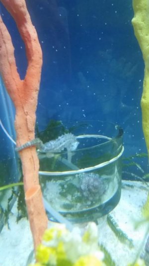 20170217_222621.jpg