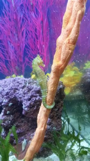 20170217_222627.jpg