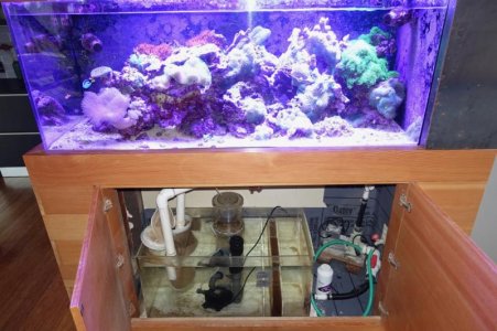 Upper and lower tanks..jpg