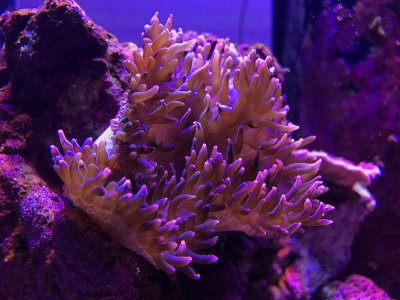 IMG_0991.JPG.jpg