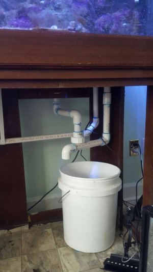 leftview.jpg leftview.jpg