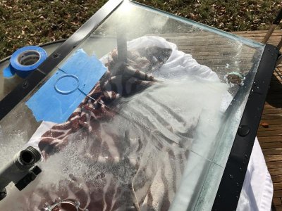 Photo Jan 18, 12 20 02 PM.jpg