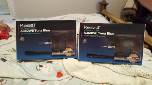 Resized_20170220_165544.jpg