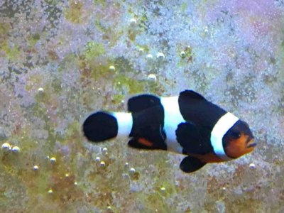 IMG_0363.jpg IMG_0363.jpg