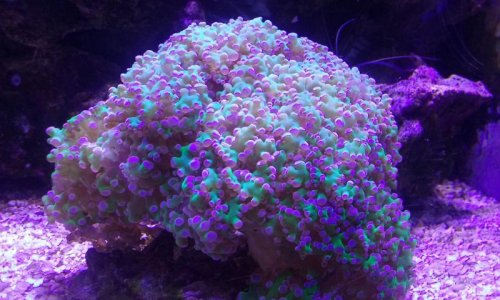20170119_142436.jpg