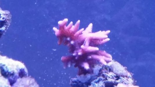 2017-01-19 14.25.14.jpg
