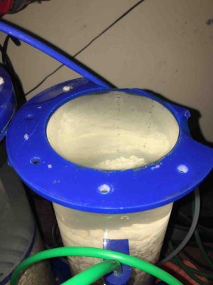 IMG_0540.jpg IMG_0540.jpg