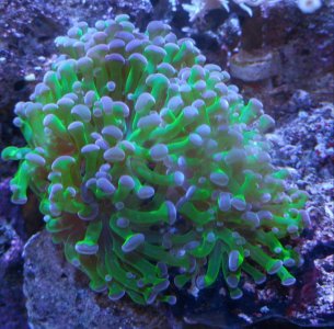 20170113_151445-1.jpg