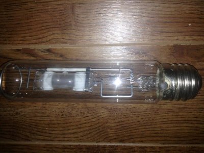 MHbulb.jpg