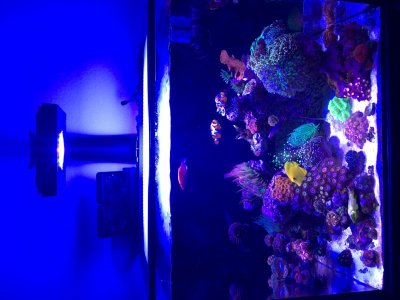 IMG_3495.jpg