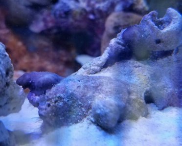 20170121_163639-643x519.jpg