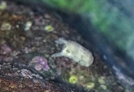 20170223_005643-1~2.jpg