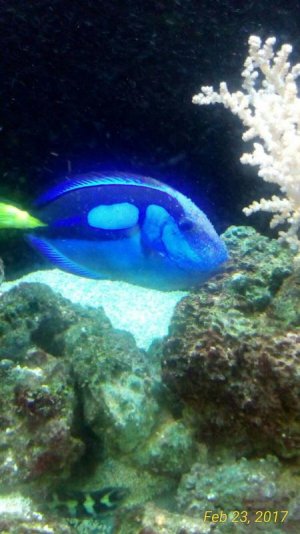 IMG_1325.jpg