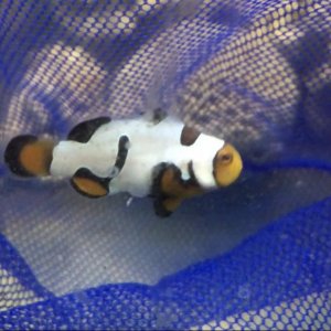 FullSizeRender 15.jpg