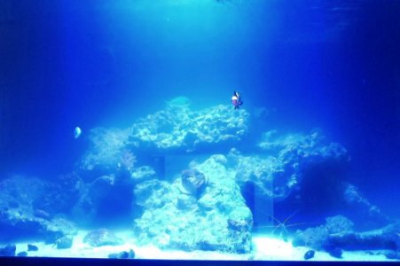Photo on 1-22-17 at 6.23 PM.jpg